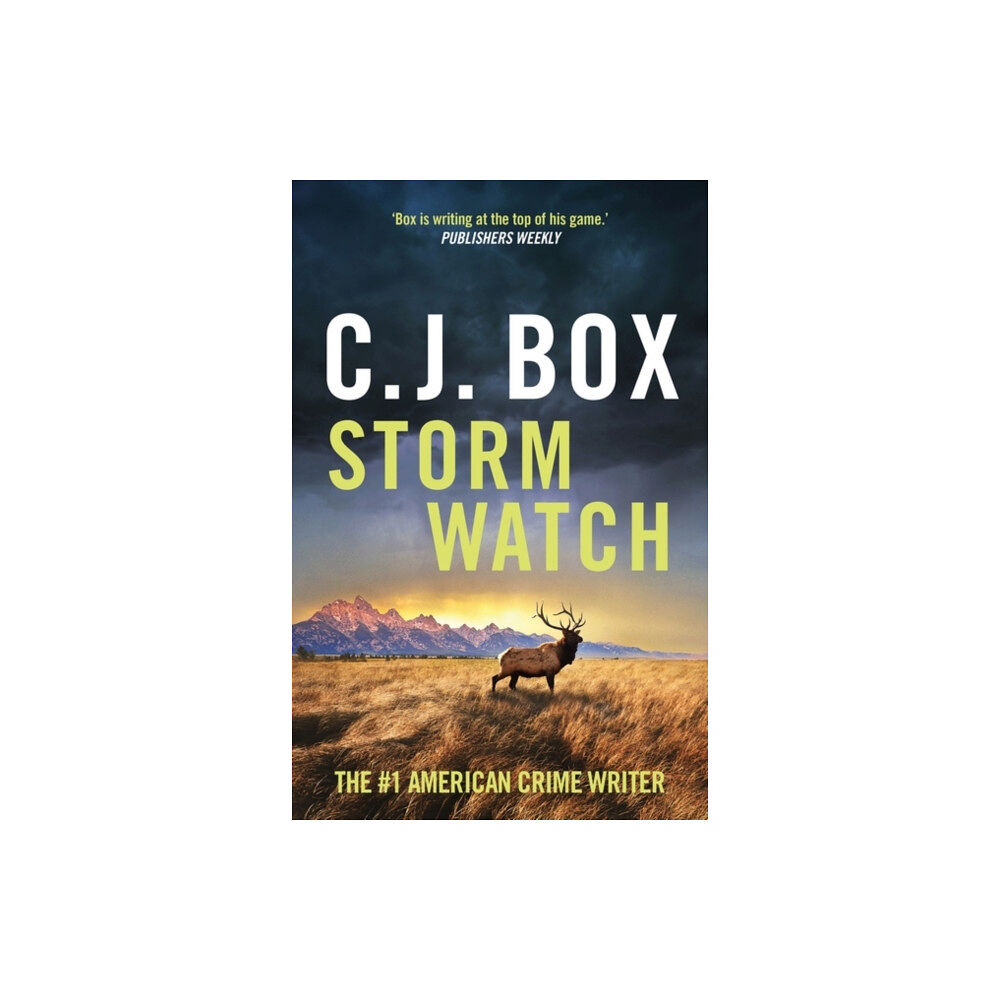 Bloomsbury Publishing PLC Storm Watch (häftad, eng)