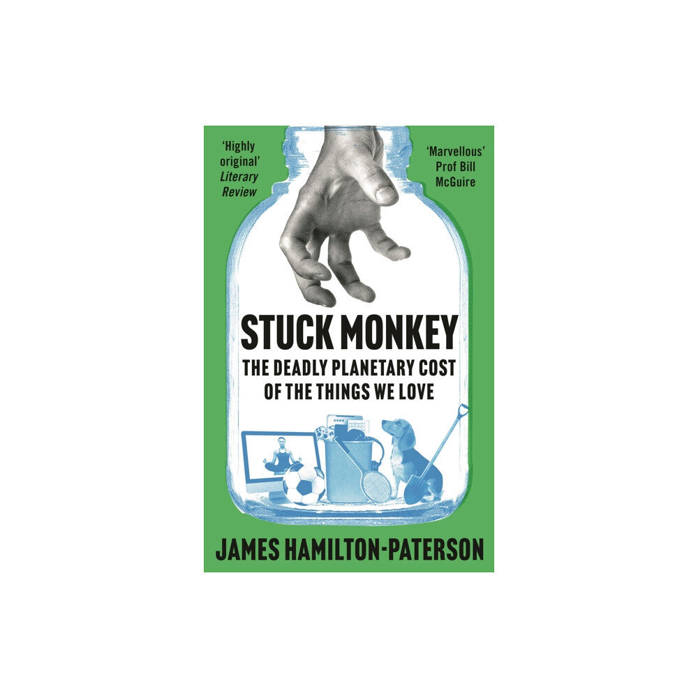 Bloomsbury Publishing PLC Stuck Monkey (inbunden, eng)