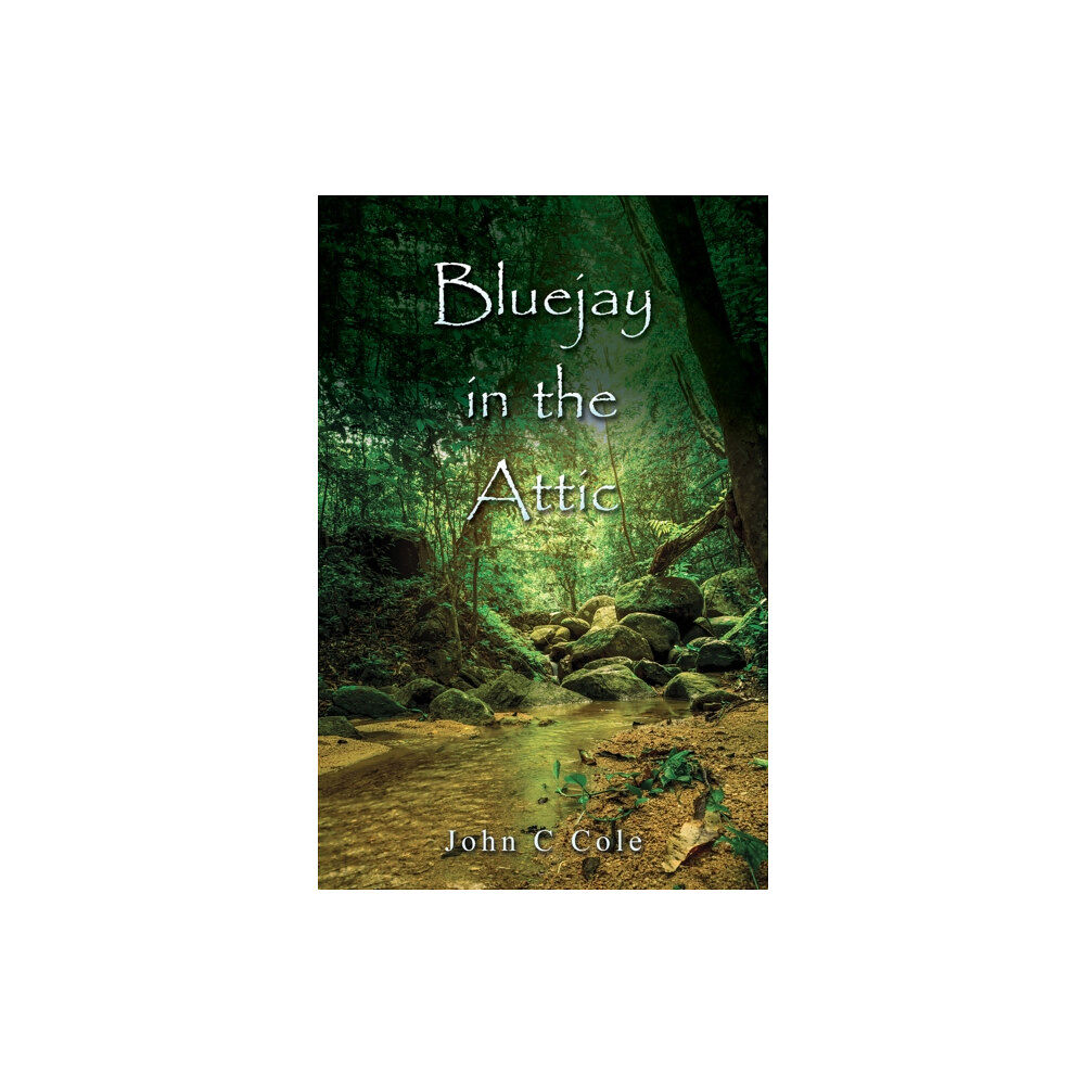 Austin Macauley Publishers LLC Bluejay in the Attic (häftad, eng)