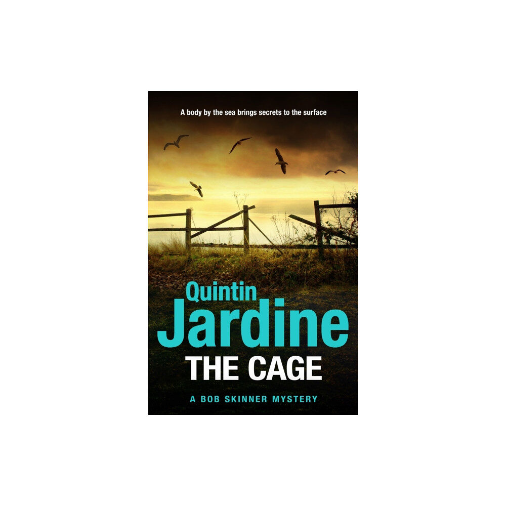 Headline Publishing Group The Cage (häftad, eng)
