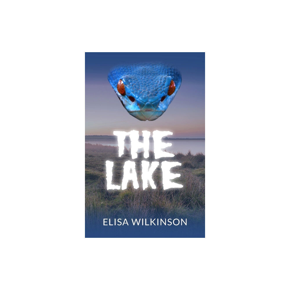 New Generation Publishing The Lake (häftad, eng)