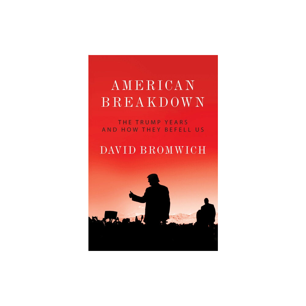 Verso Books American Breakdown (inbunden, eng)