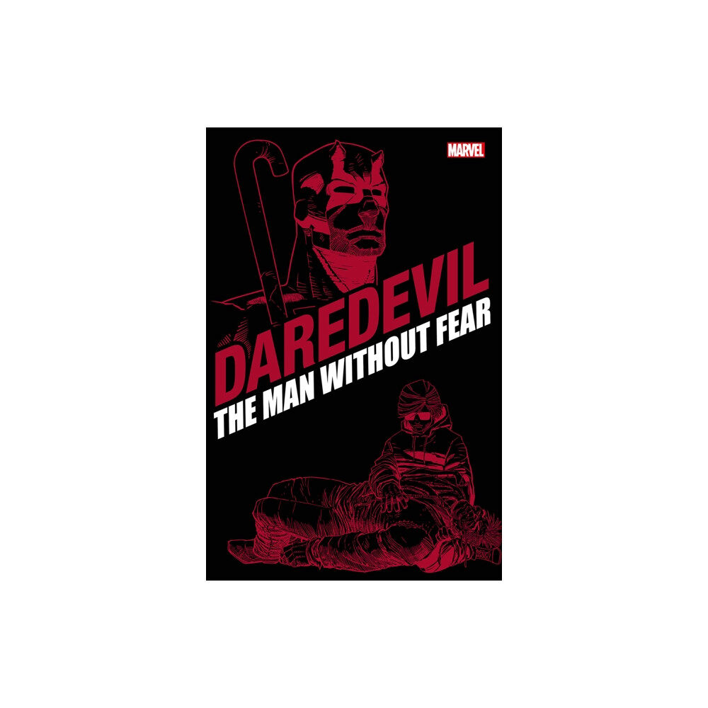 Panini Publishing Ltd Daredevil: The Man Without Fear (häftad, eng)