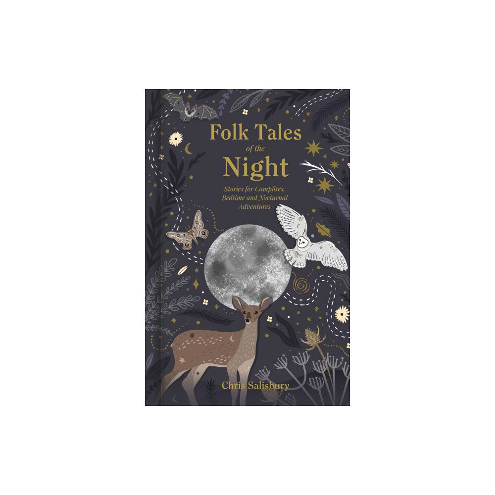 The History Press Ltd Folk Tales of the Night (inbunden, eng)