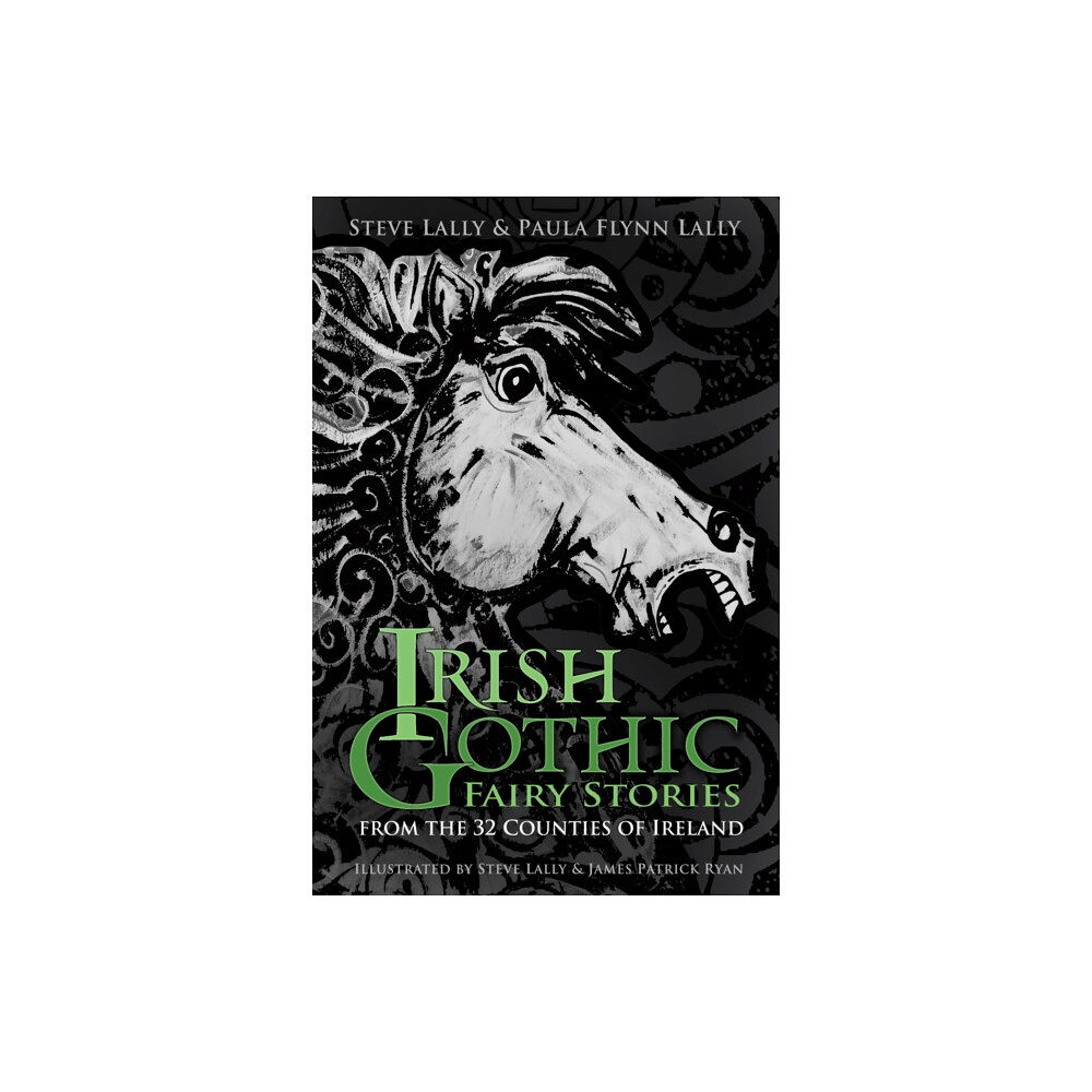 The History Press Ltd Irish Gothic Fairy Stories (häftad, eng)