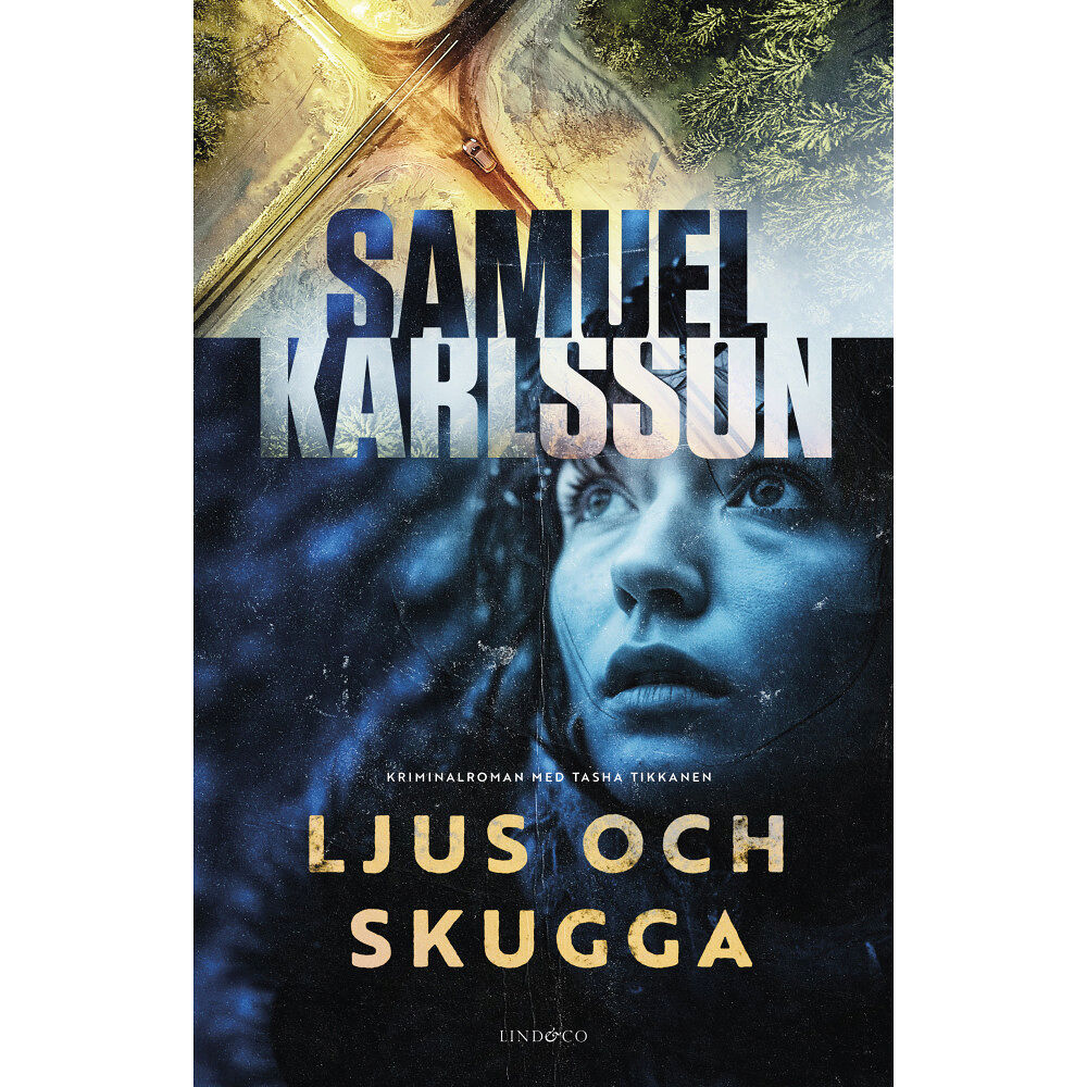 Samuel Karlsson Ljus och skugga (inbunden)