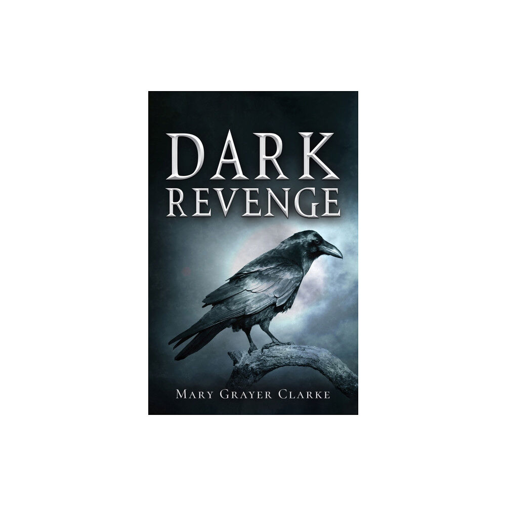 Austin Macauley Publishers Dark Revenge (häftad, eng)