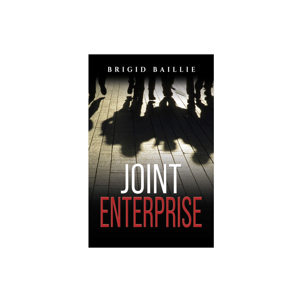 Austin Macauley Publishers Joint Enterprise (häftad, eng)