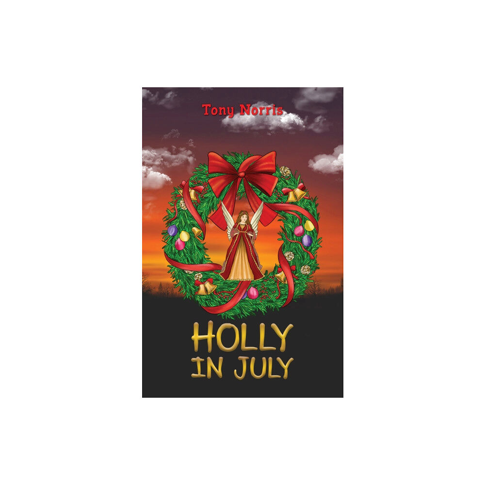 Austin Macauley Publishers Holly in July (häftad, eng)