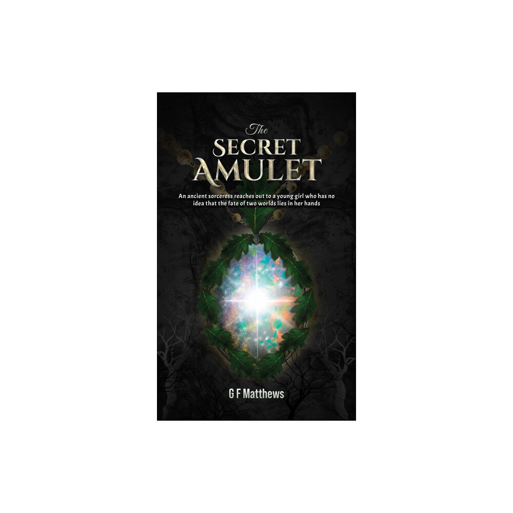Austin Macauley Publishers The Secret Amulet (häftad, eng)