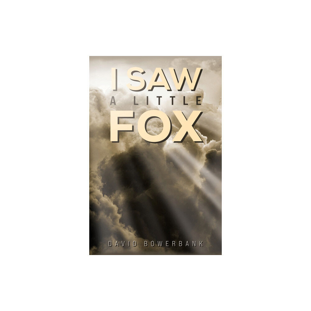 Austin Macauley Publishers I Saw a Little Fox (häftad, eng)