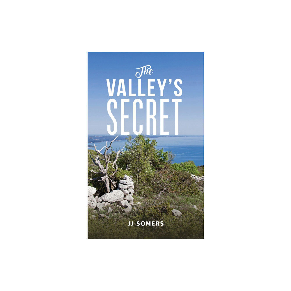 Austin Macauley Publishers The Valley's Secret (häftad, eng)