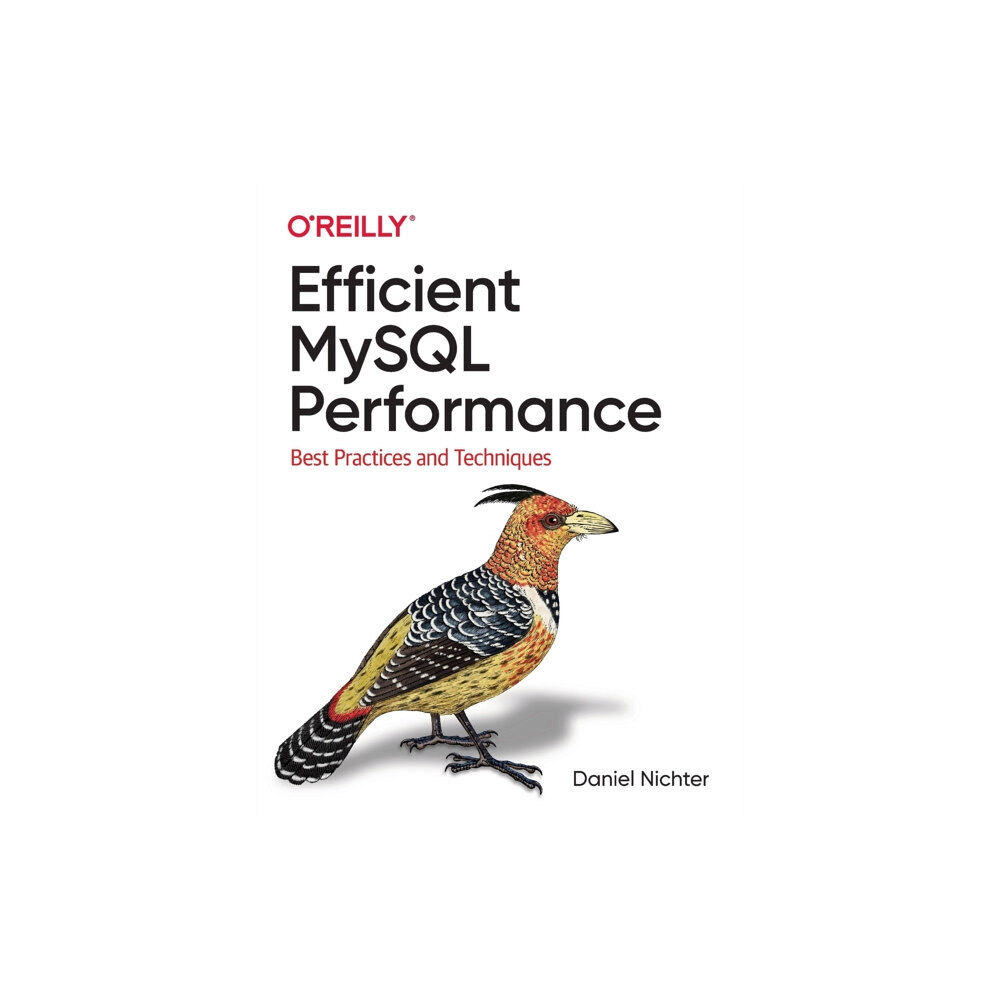 O'Reilly Media Efficient MySQL Performance (häftad, eng)