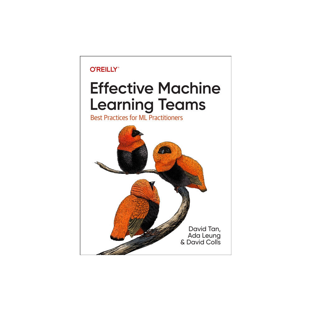 O'Reilly Media Effective Machine Learning Teams (häftad, eng)