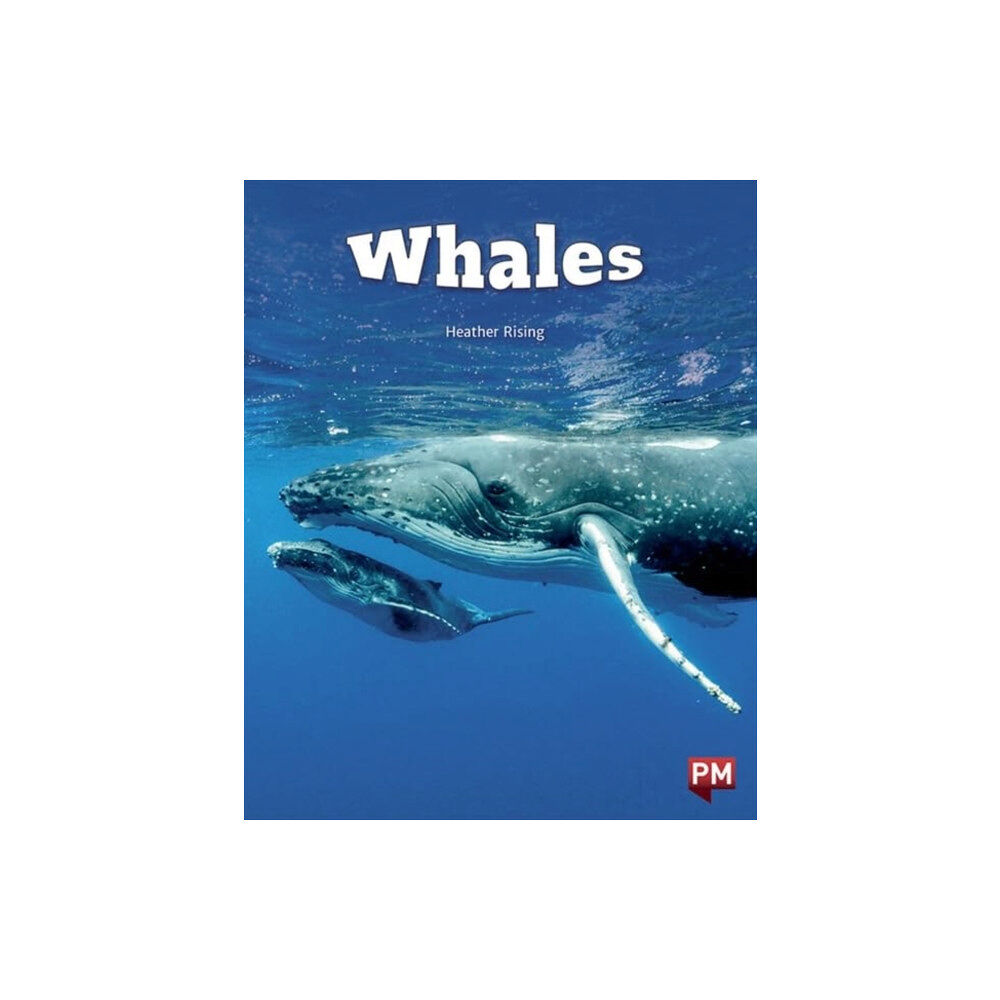 SCHOLASTIC LTD WHALES (häftad, eng)