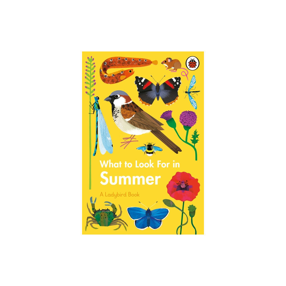 Penguin Random House Children's UK What to Look For in Summer (inbunden, eng)