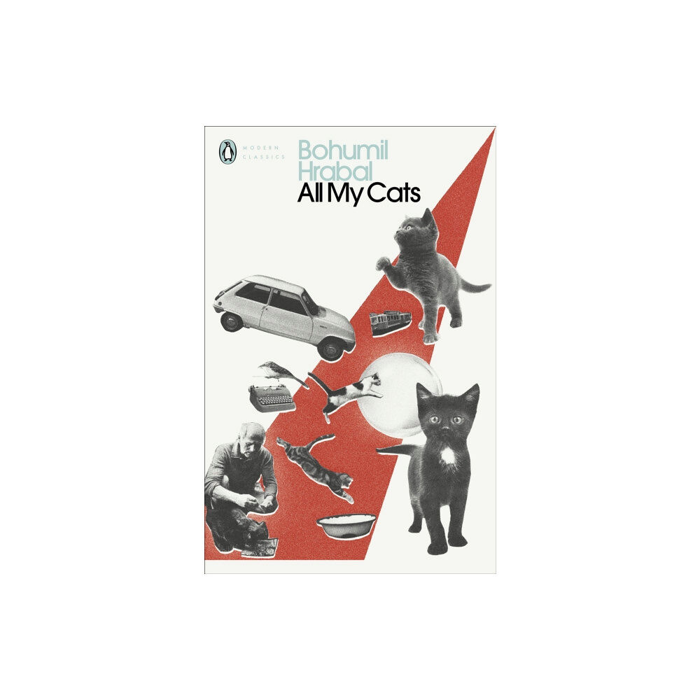 Penguin books ltd All My Cats (häftad, eng)