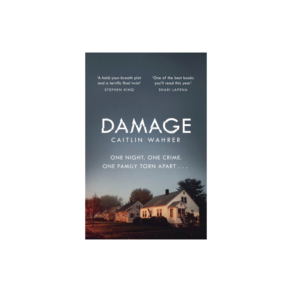 Penguin books ltd Damage (inbunden, eng)