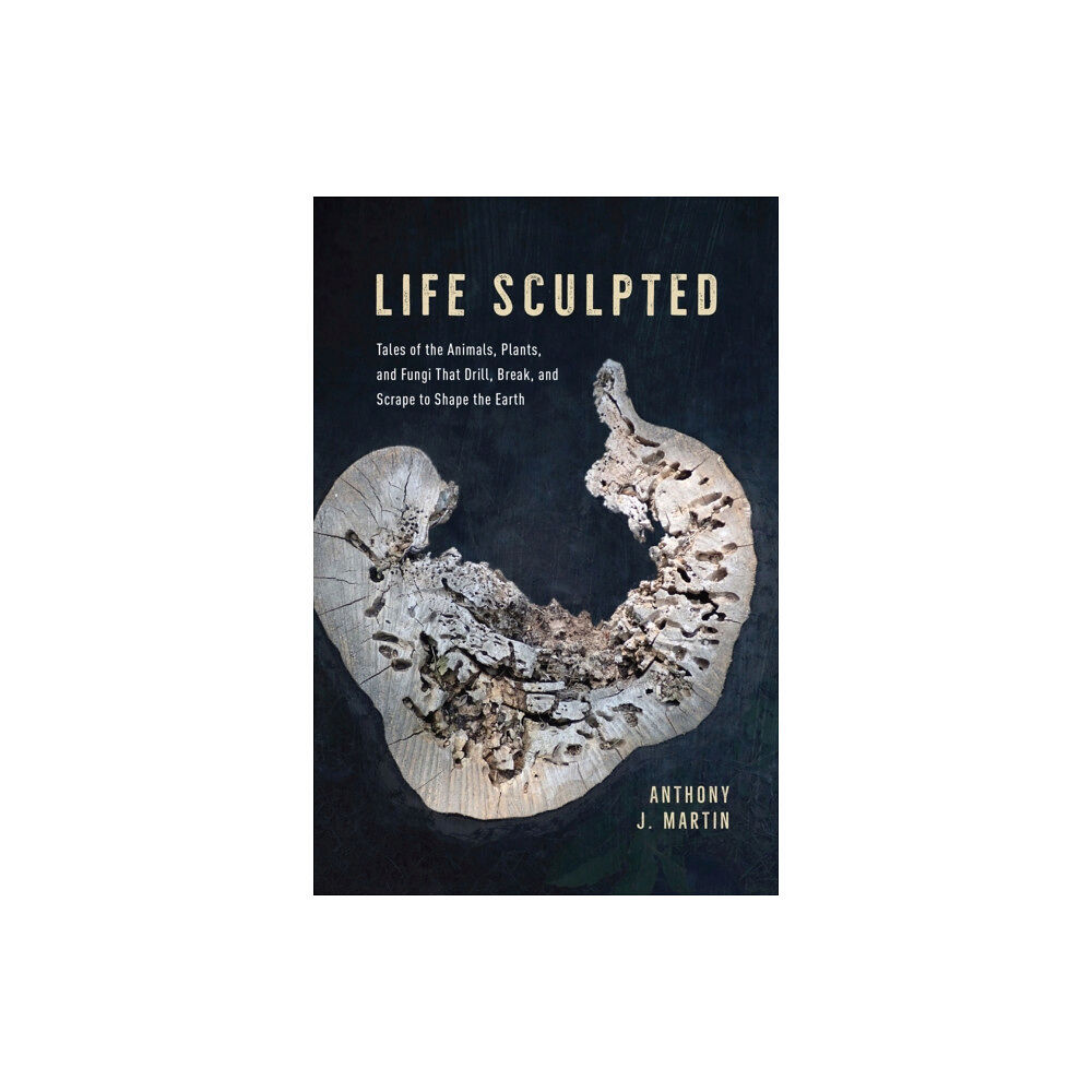 The university of chicago press Life Sculpted (inbunden, eng)