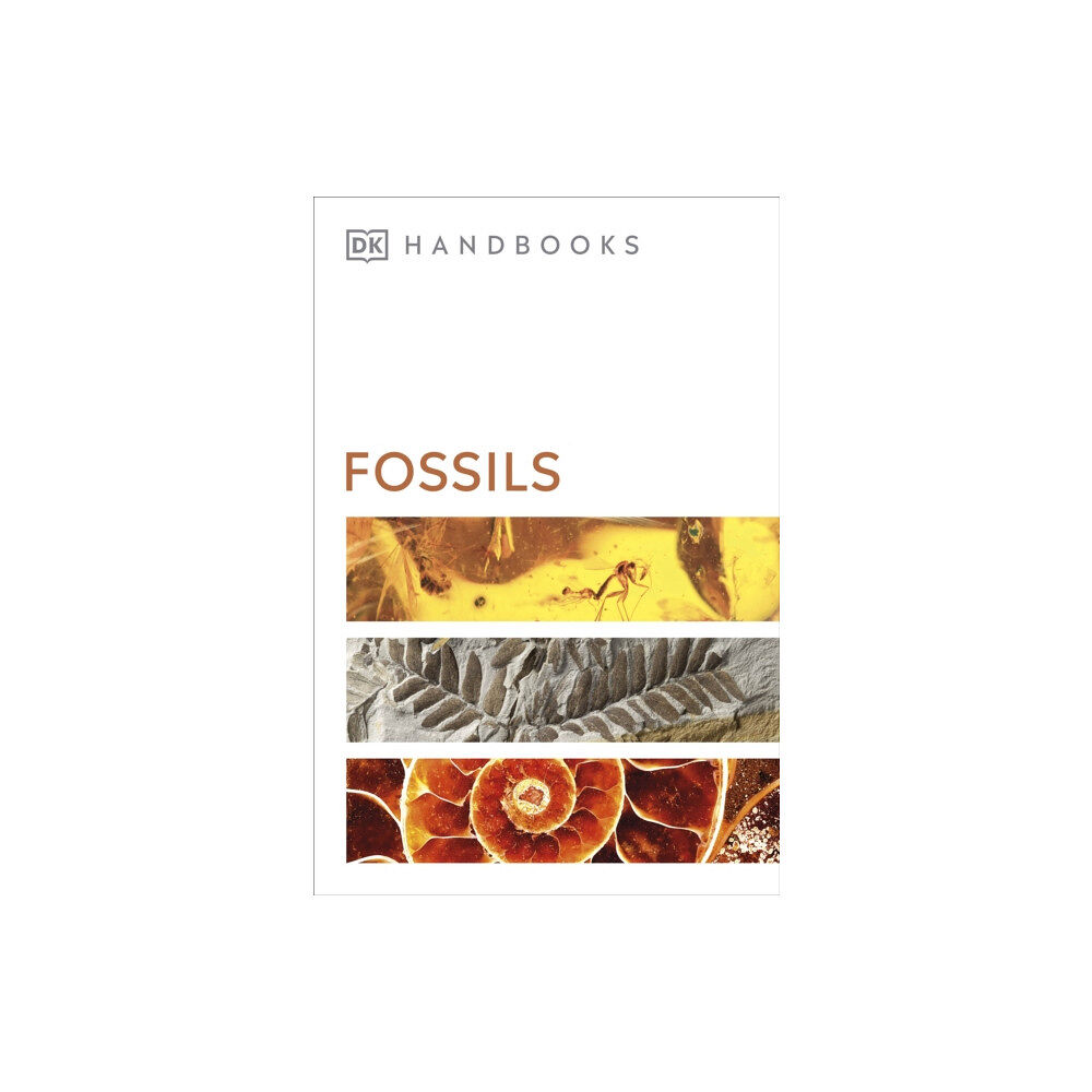 Dorling Kindersley Ltd Fossils (häftad, eng)