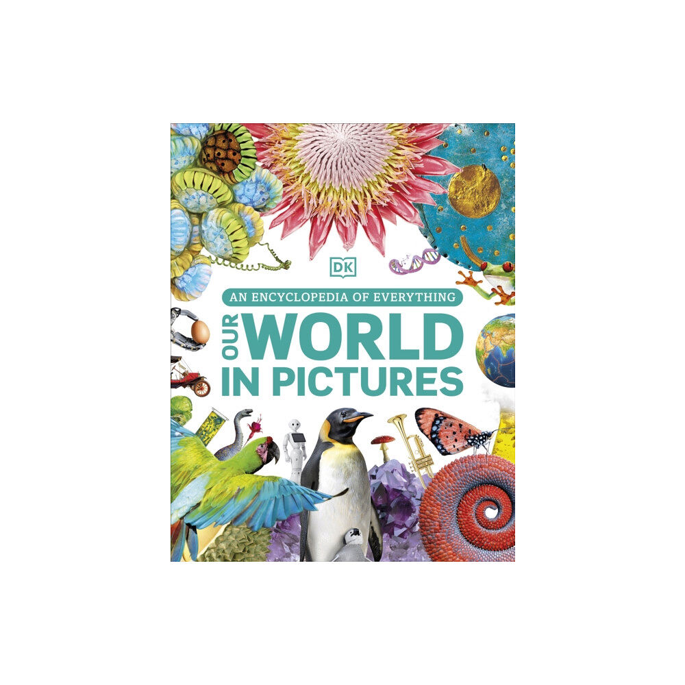 Dorling Kindersley Ltd Our World in Pictures (inbunden, eng)