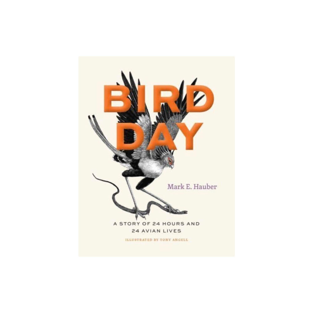 The university of chicago press Bird Day (inbunden, eng)