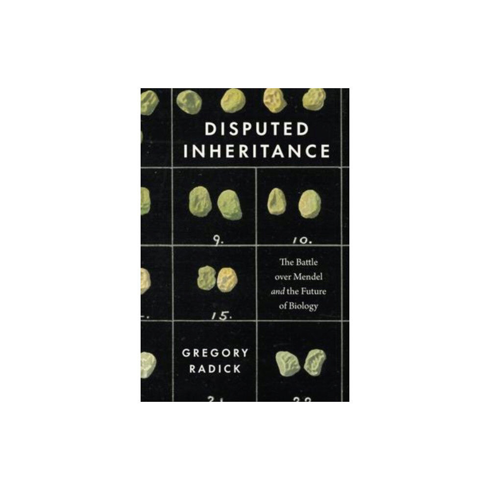 The university of chicago press Disputed Inheritance (häftad, eng)