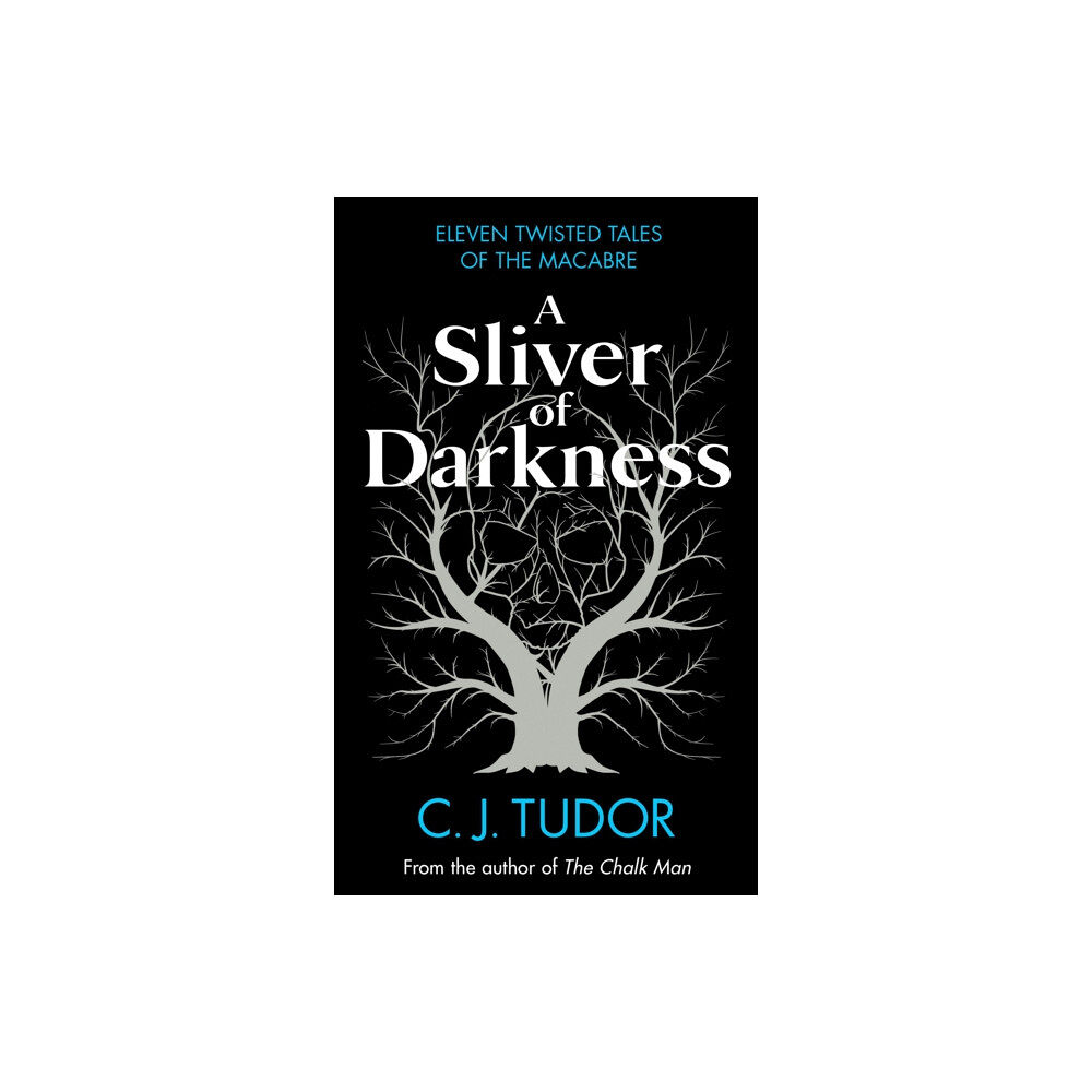 Penguin books ltd A Sliver of Darkness (inbunden, eng)