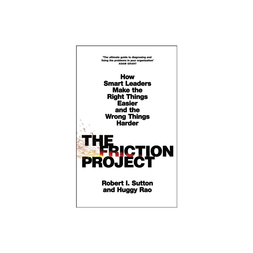 Penguin books ltd The Friction Project (häftad, eng)