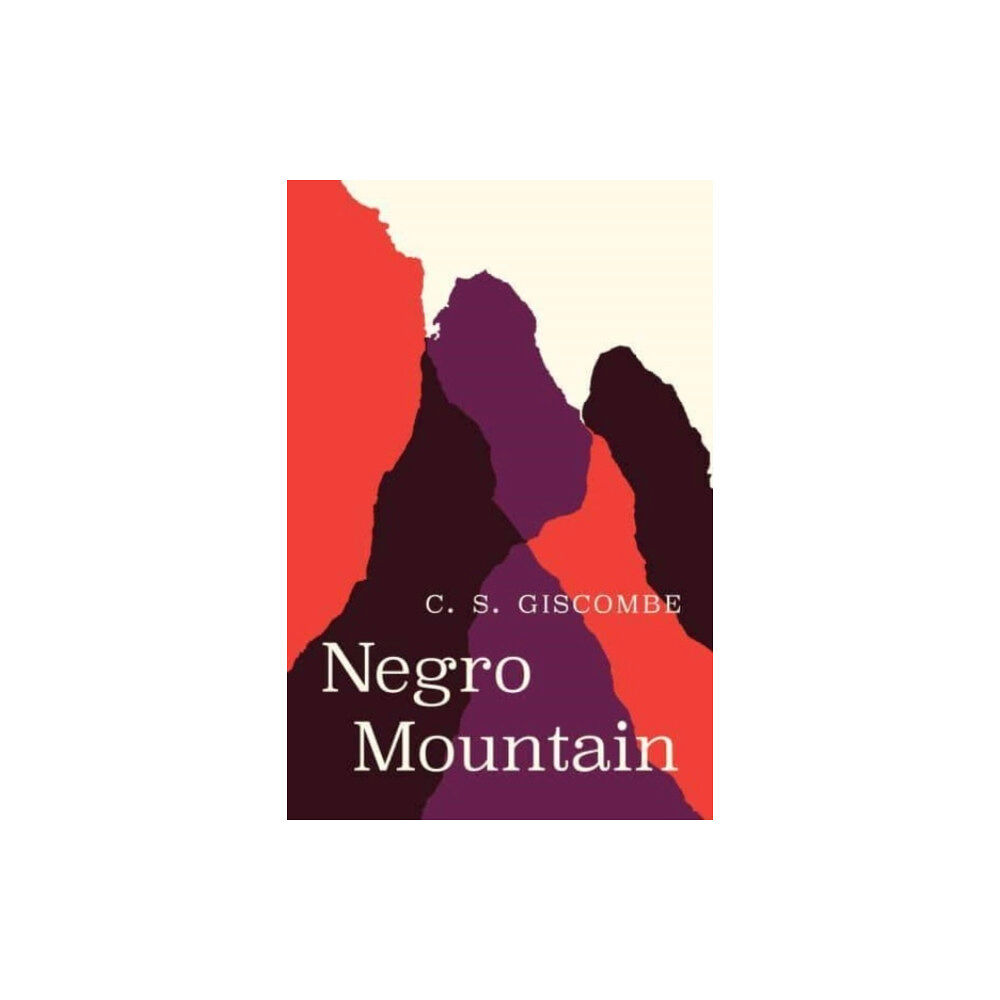 The university of chicago press Negro Mountain (häftad, eng)