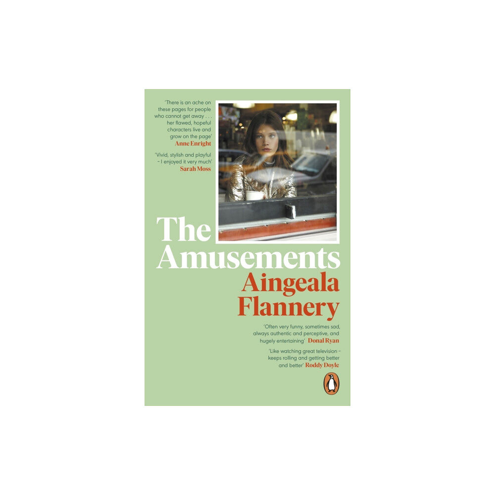 Penguin books ltd The Amusements (häftad, eng)