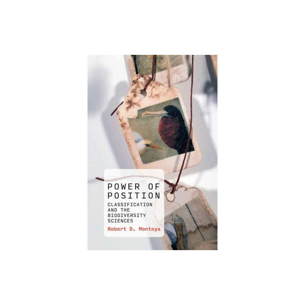 Mit press ltd Power of Position (häftad, eng)