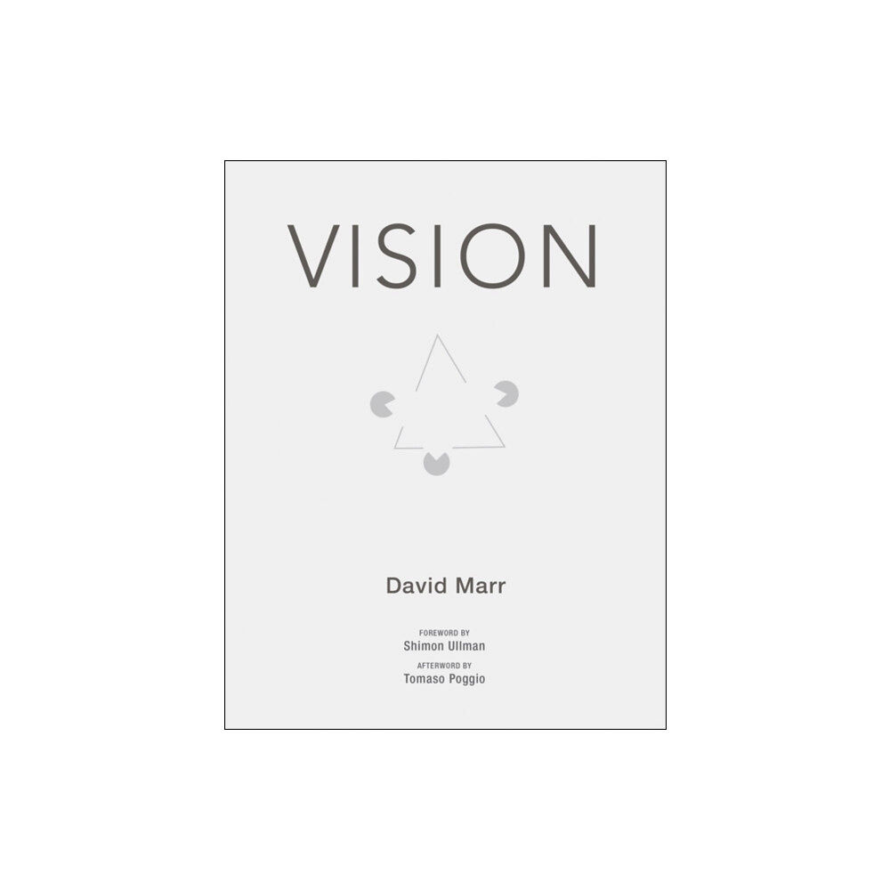 Mit press ltd Vision (häftad, eng)