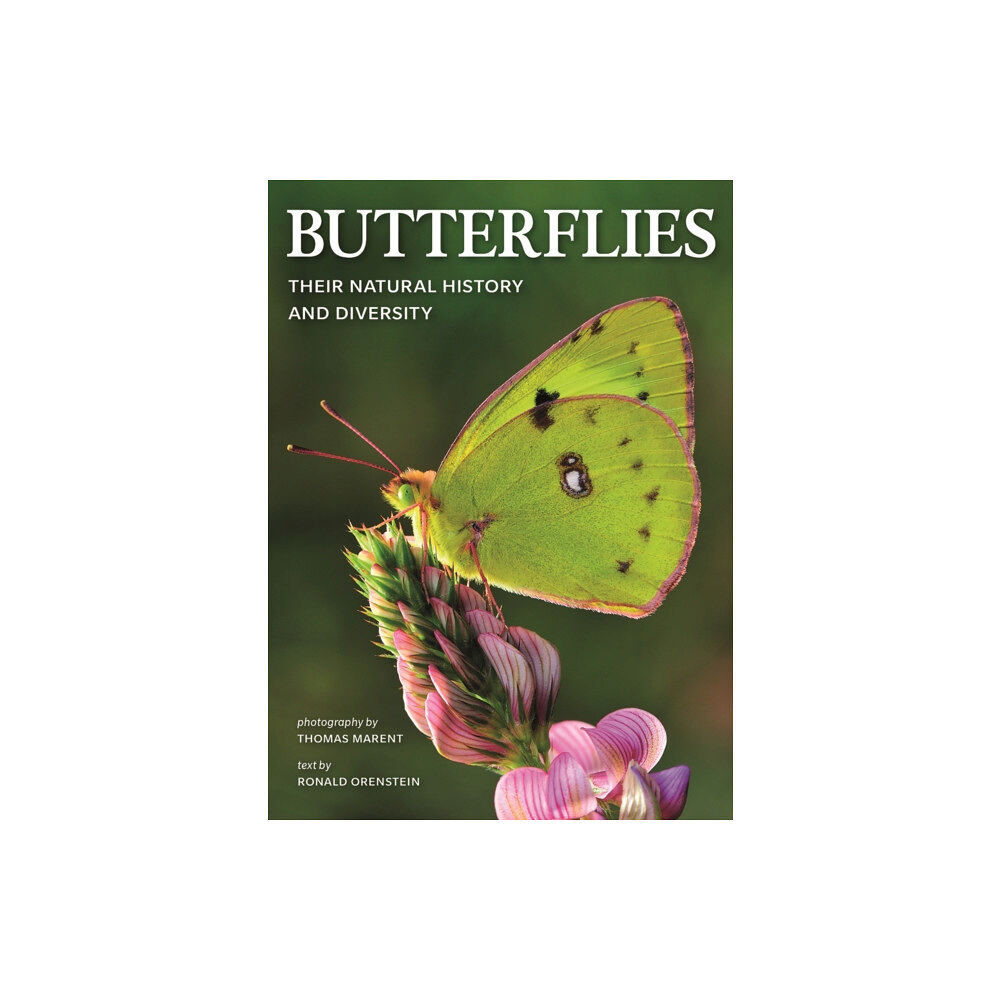 Firefly Books Ltd Butterflies: Their Natural History and Diversity (häftad, eng)