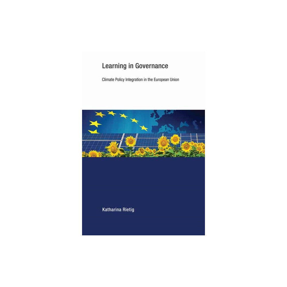 Mit press ltd Learning in Governance (häftad, eng)