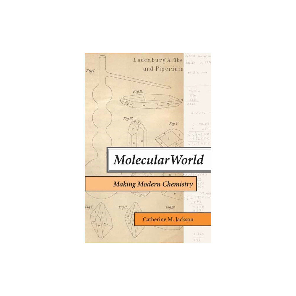 Mit press ltd Molecular World (häftad, eng)