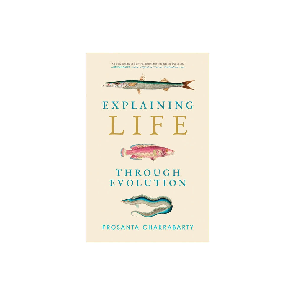 Mit press ltd Explaining Life through Evolution (häftad, eng)