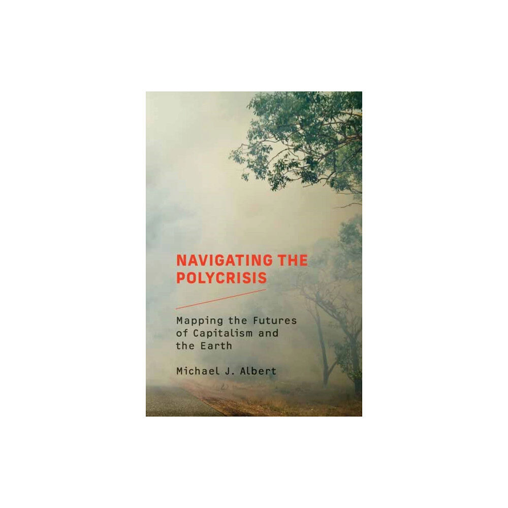 Mit press ltd Navigating the Polycrisis (häftad, eng)