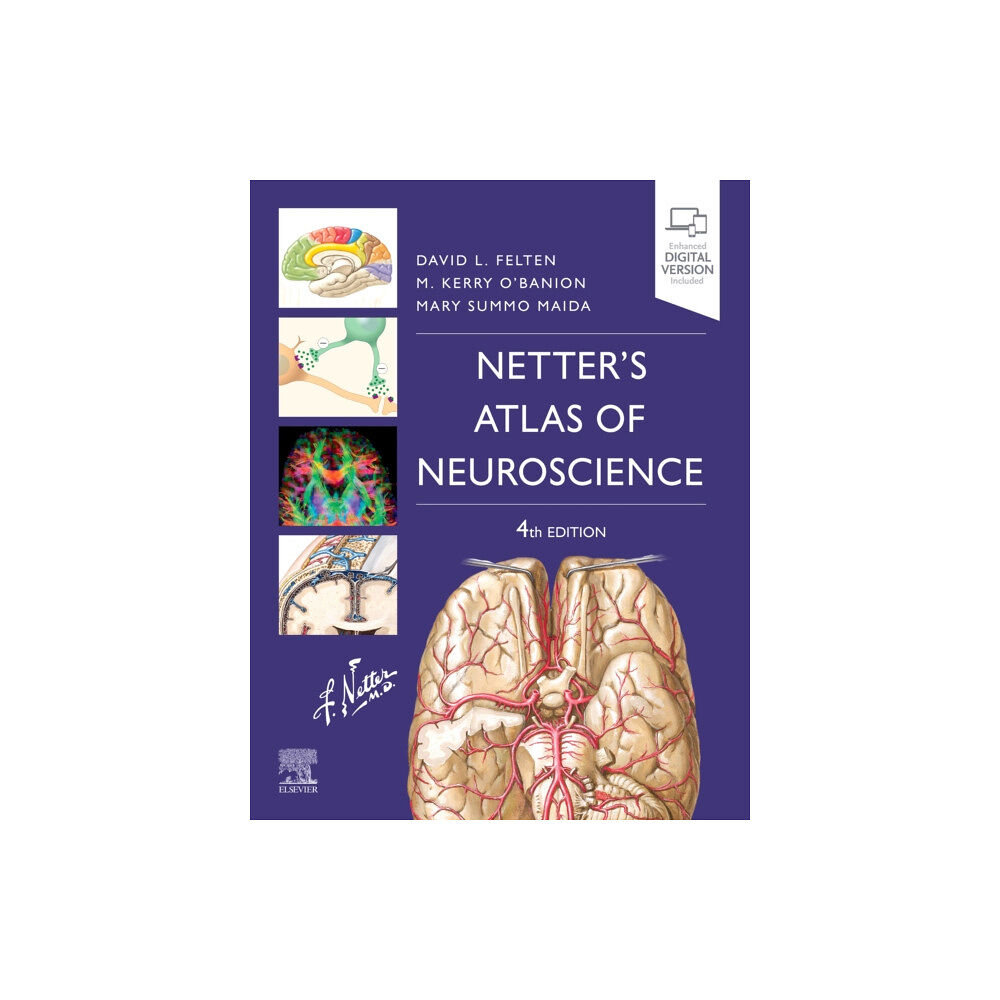 Elsevier - Health Sciences Division Netter's Atlas of Neuroscience (häftad, eng)