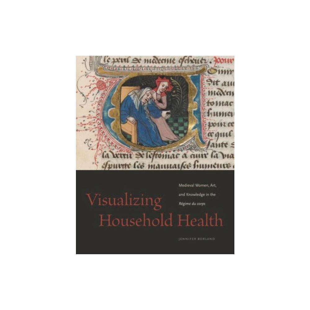 Pennsylvania State University Press Visualizing Household Health (häftad, eng)