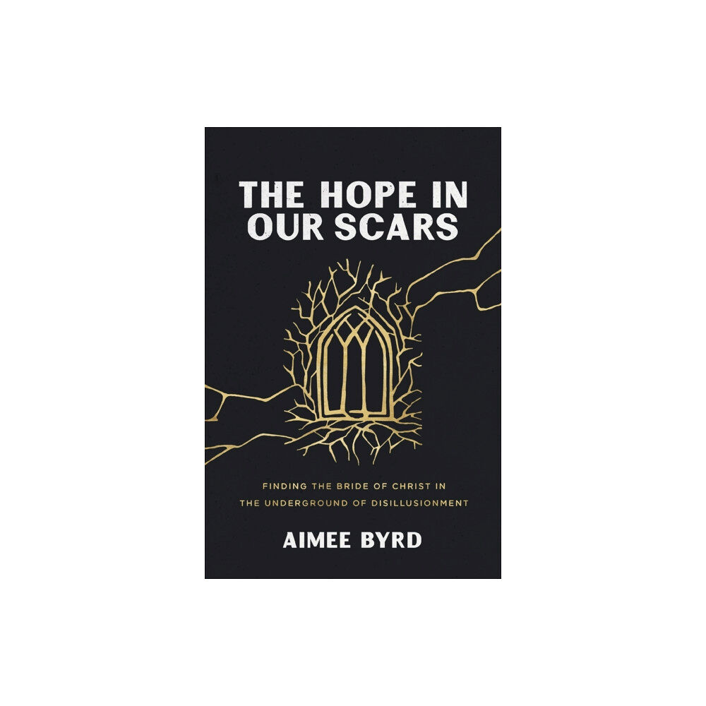 Zondervan The Hope in Our Scars (häftad, eng)