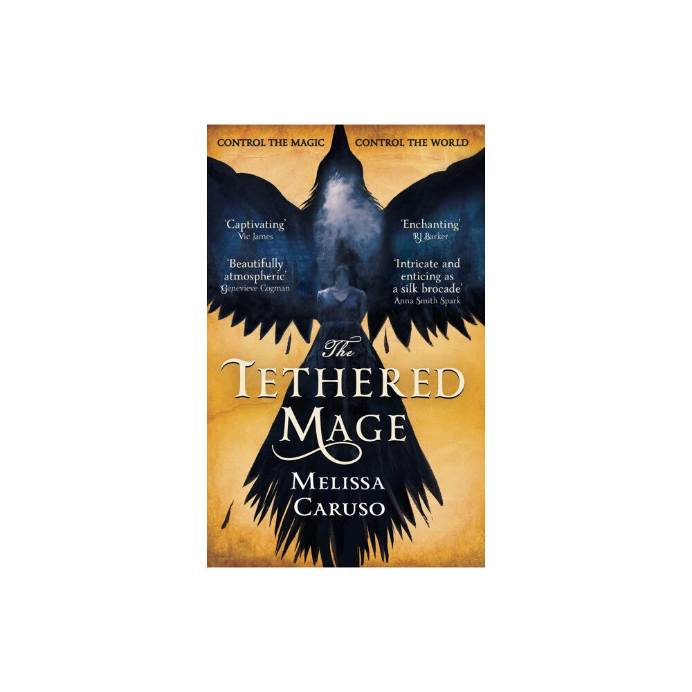 Little, Brown Book Group The Tethered Mage (häftad, eng)