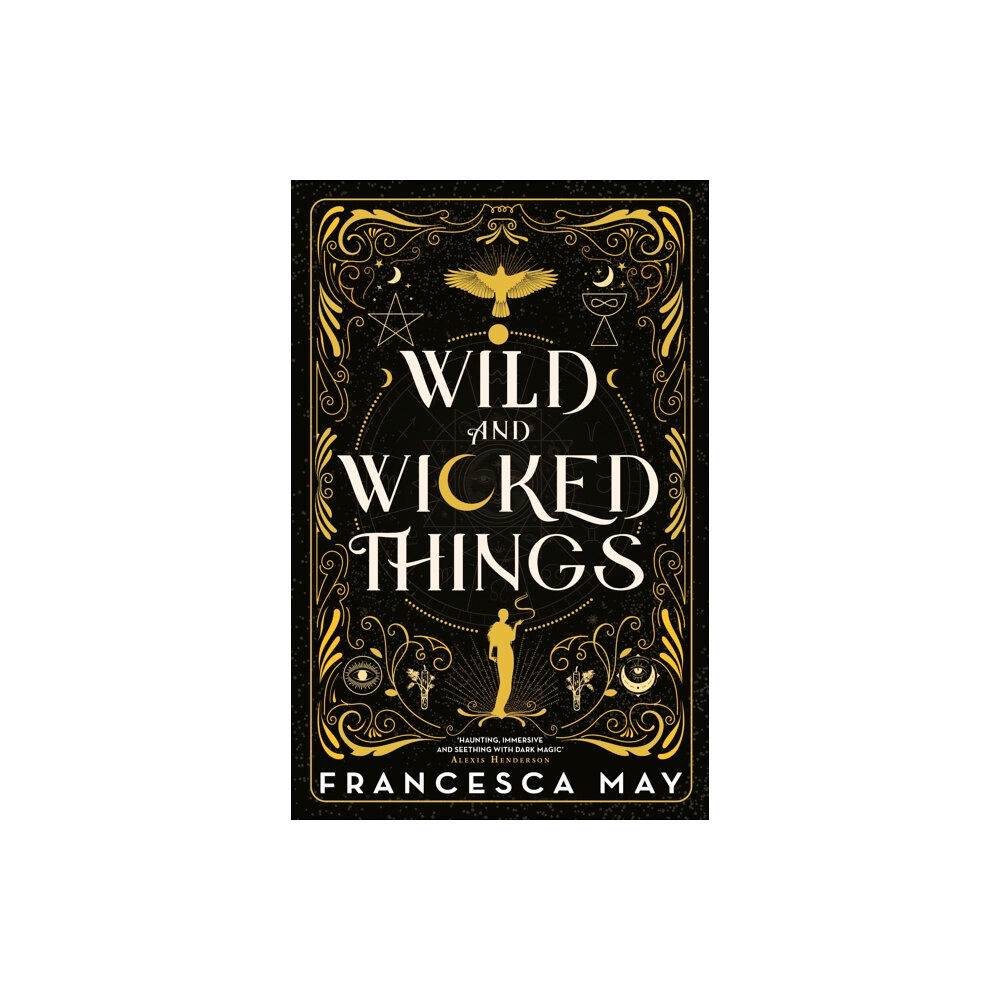 Little, Brown Book Group Wild and Wicked Things (inbunden, eng)