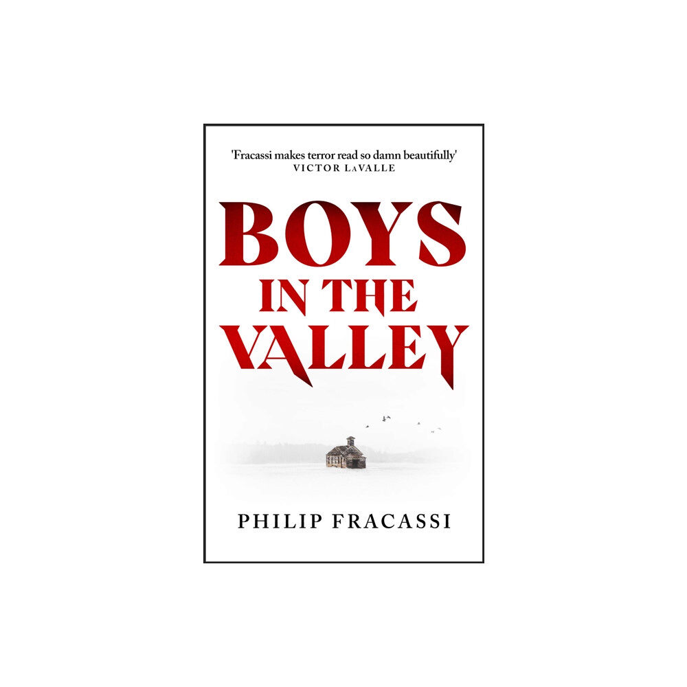 Little, Brown Book Group Boys in the Valley (häftad, eng)