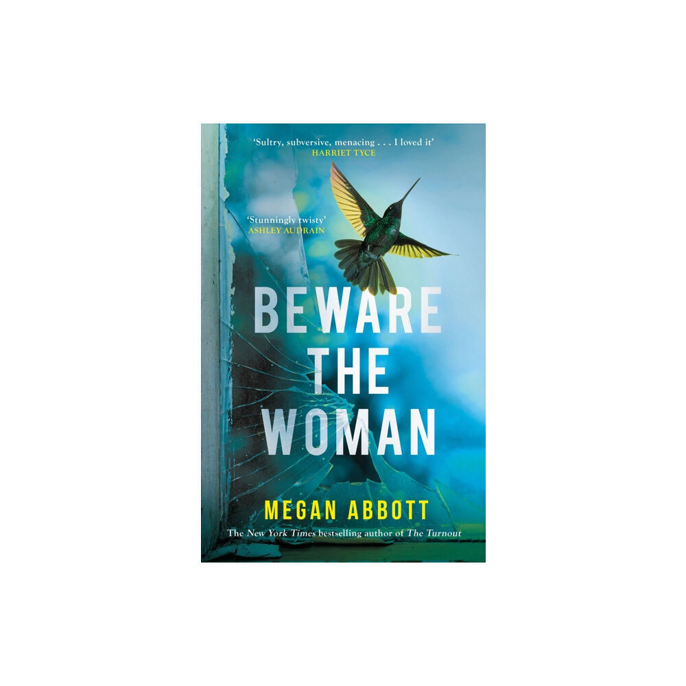 Little, Brown Book Group Beware the Woman (inbunden, eng)