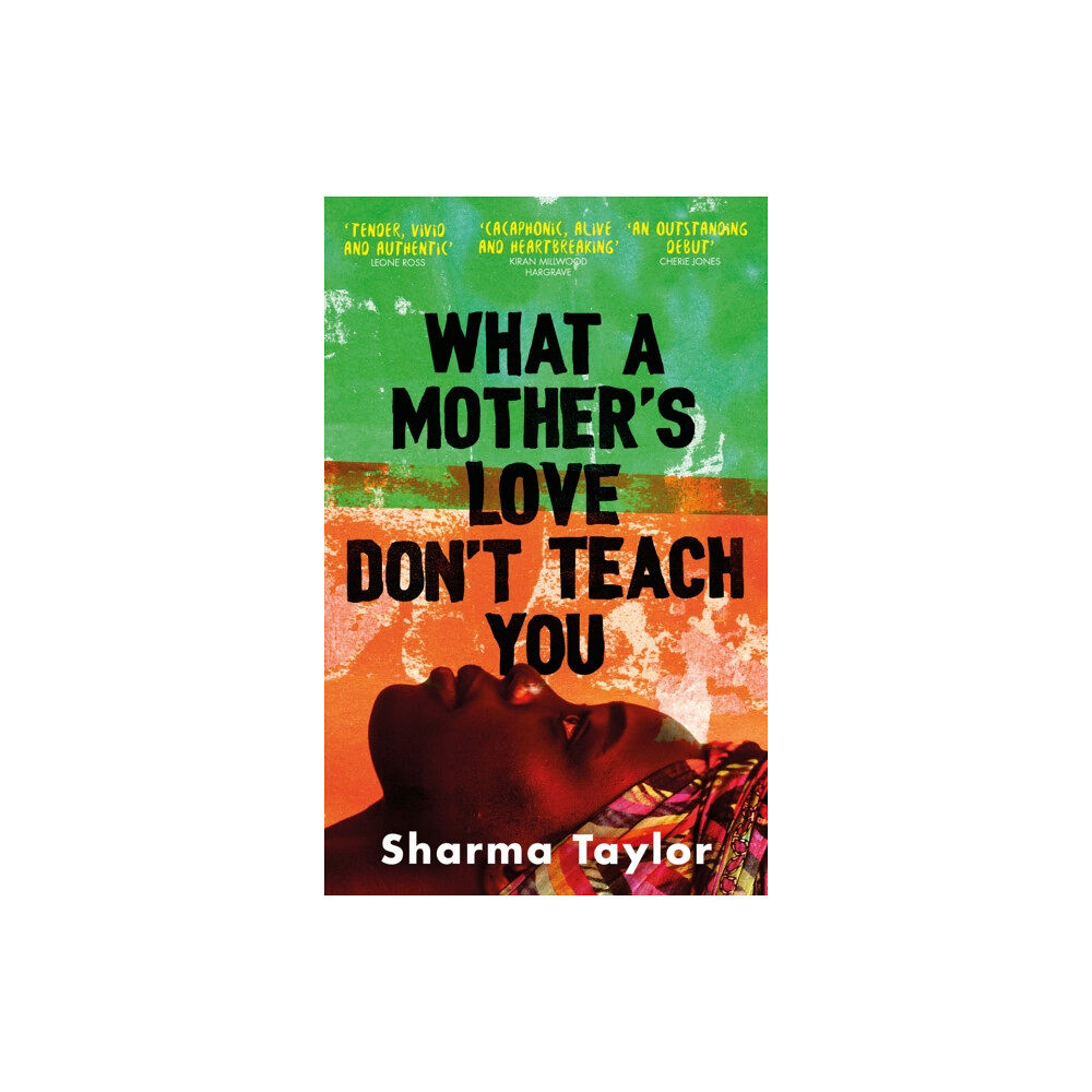 Little, Brown Book Group What A Mother's Love Don't Teach You (häftad, eng)