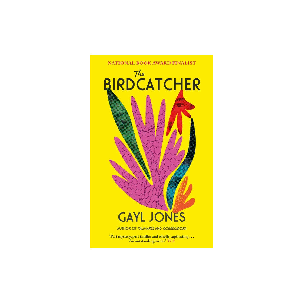 Little, Brown Book Group The Birdcatcher (häftad, eng)