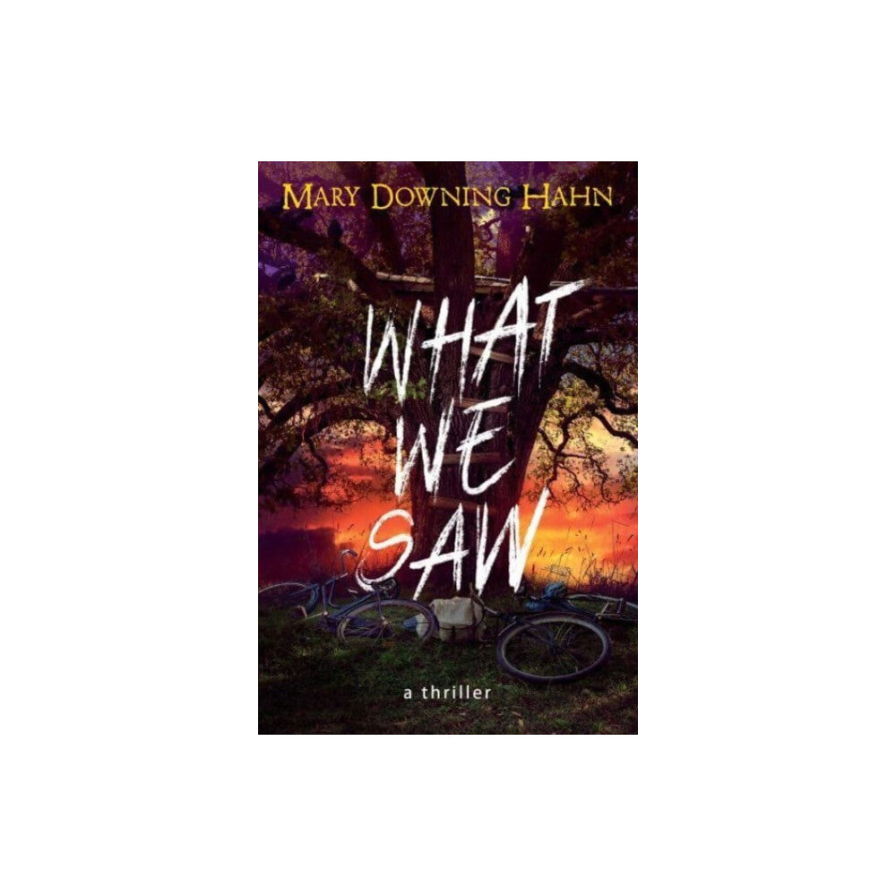 Harpercollins publishers inc What We Saw (häftad, eng)