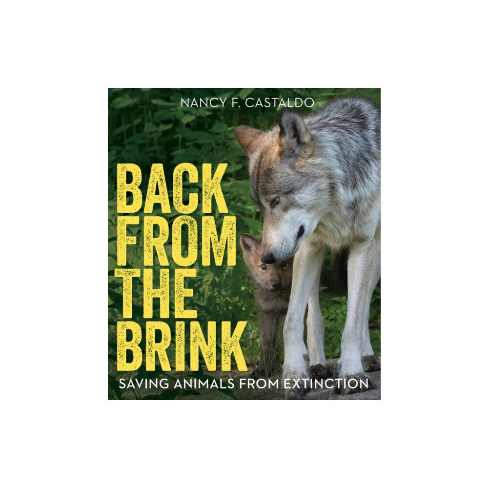 Harpercollins publishers inc Back from the Brink (häftad, eng)