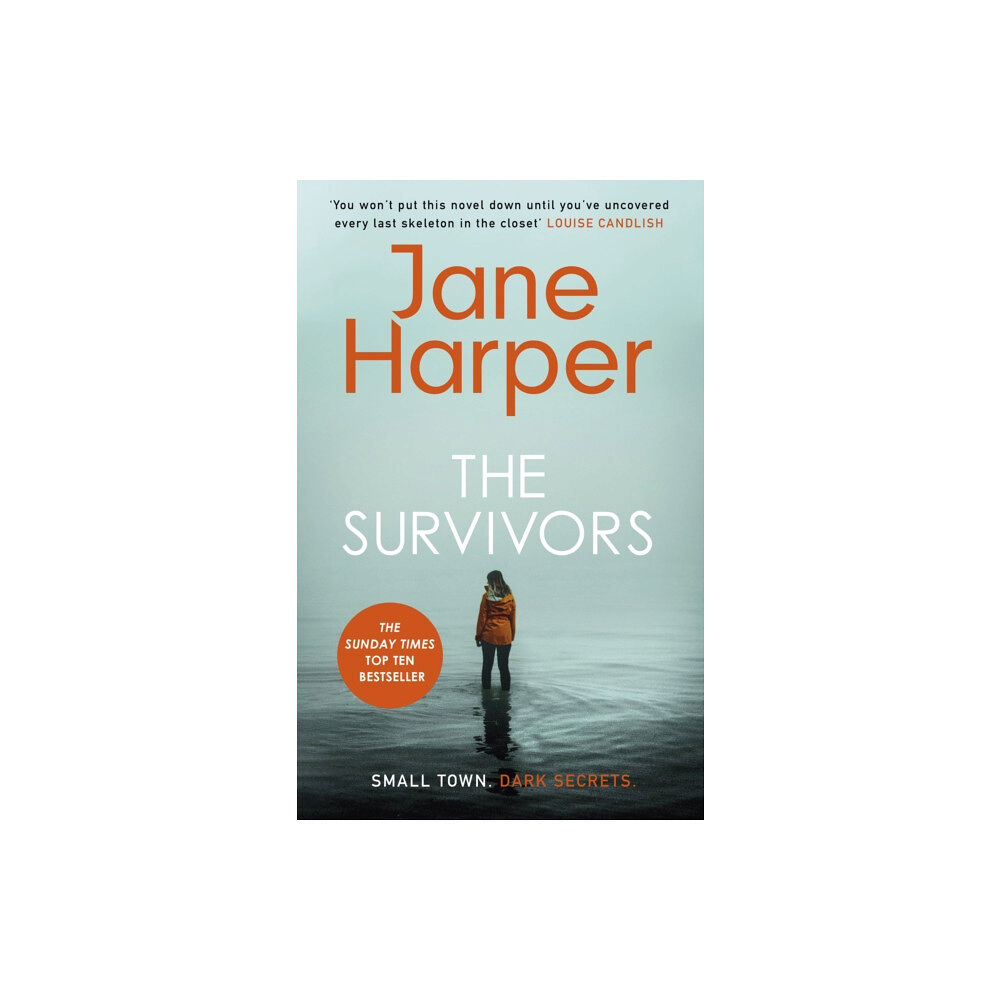 Little, Brown Book Group The Survivors (häftad, eng)